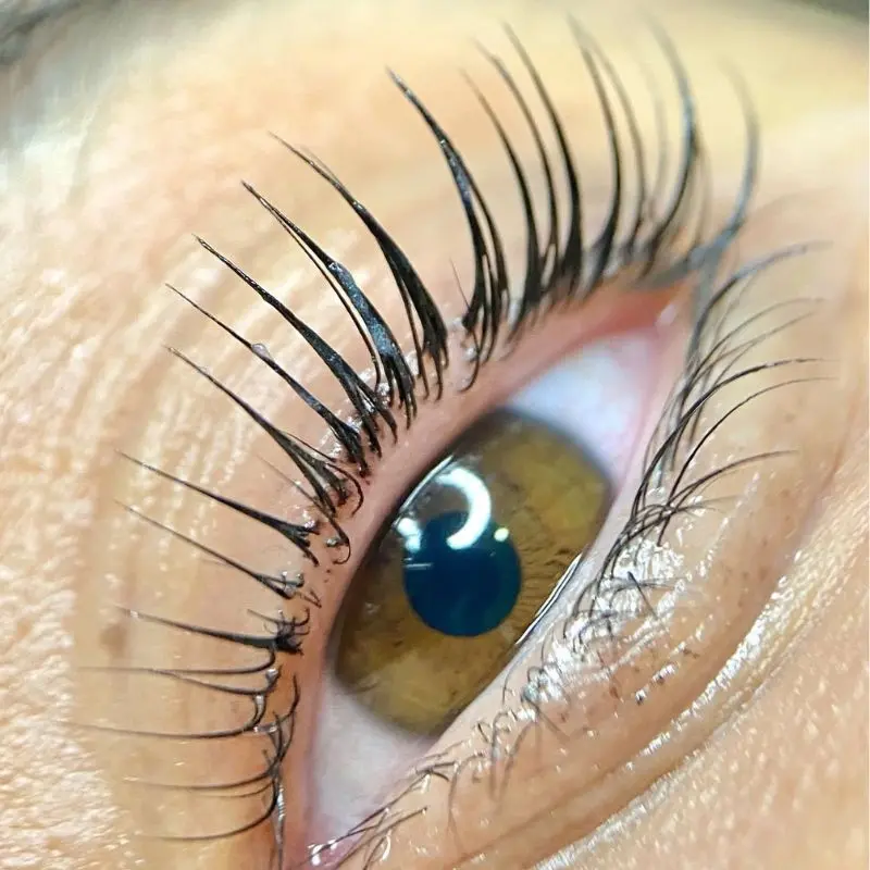 Lashes after Lifting Coreano