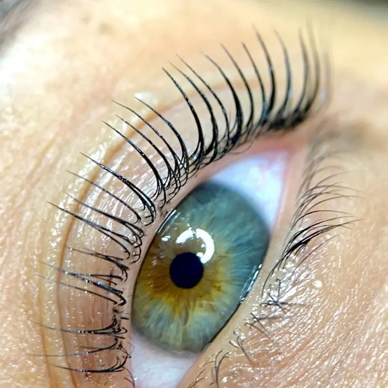 Lashes after Lifting Coreano