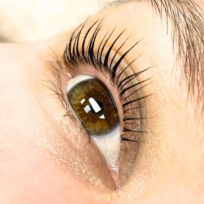 Lashes after Lifting Coreano